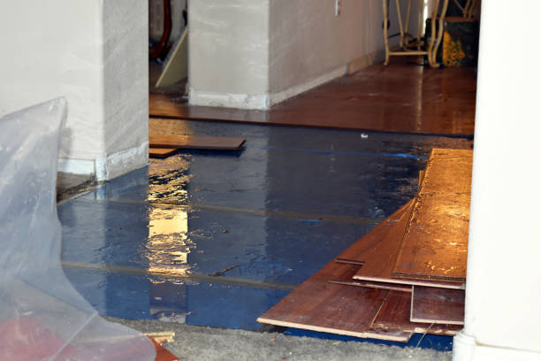 Professional Basement Flood Cleanup technician working in Grandview, MO
